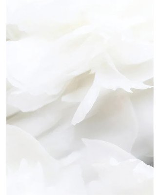 image-hover